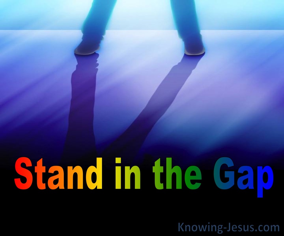 Stand In The Gap (devotional)07-27 (blue)
